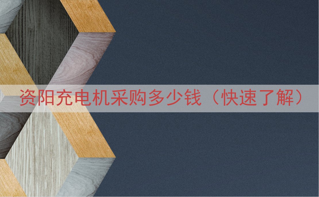 资阳充电机采购多少钱（快速了解）